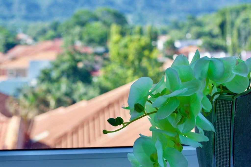 Lujoso Y Acogedor Condominio Ejecutivo/Familiar San Pedro Sula Exterior photo